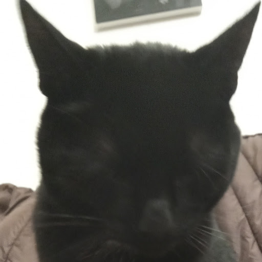 cat god