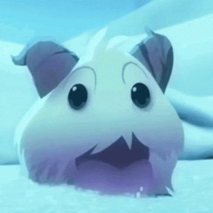 Poro