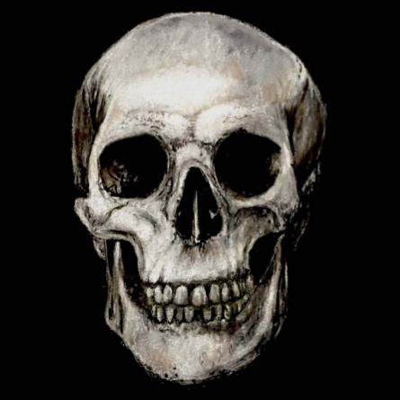 @elcadaver5653