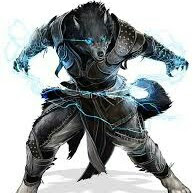 @wolforiongaming3843