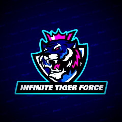 INFINITE TIGER FORCE