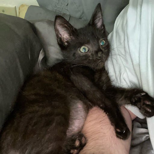 Bingly Tinson