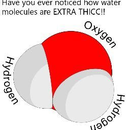 Dihydrogen Monoxide