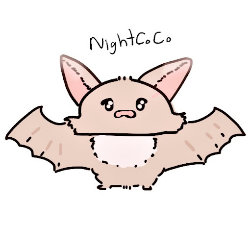 @NightCoCo1903