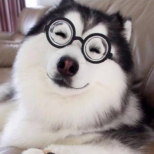 @金閃閃的忠誠怪