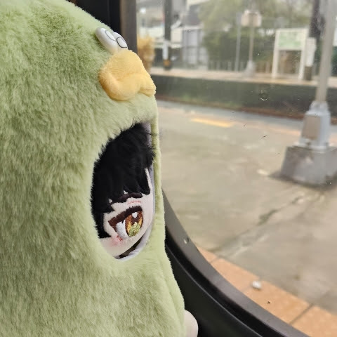 @這裡有一碗什錦丼飯