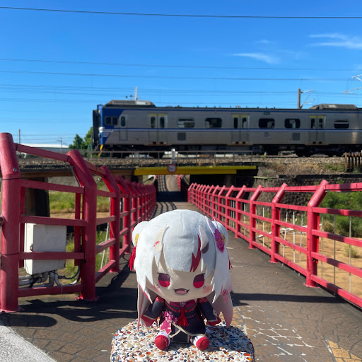 珍紅