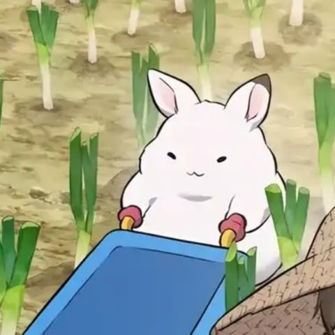 ディエゴ