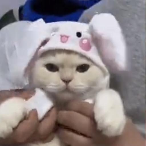 Kiwiie