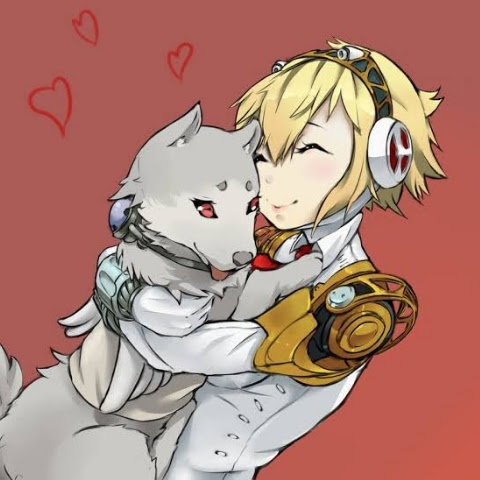 Dog aigis