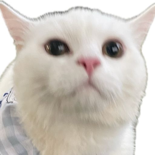@puddinboots