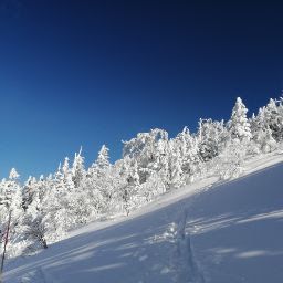 DARUTO⚔️役職:山岳部隊・雪