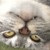 でんでん