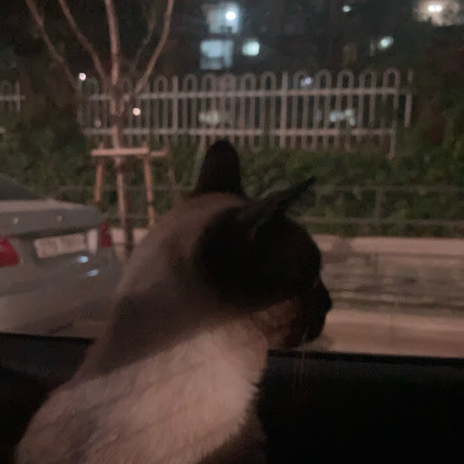 @jihookim7823