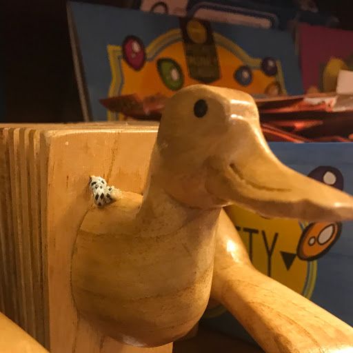 Duckemduck