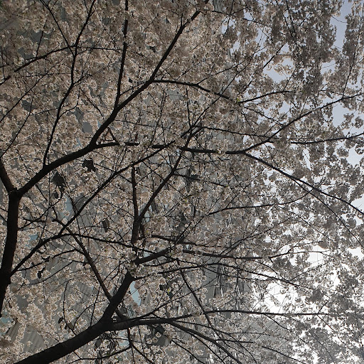 @카푸치노카푸치노