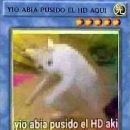 @elmasgue945