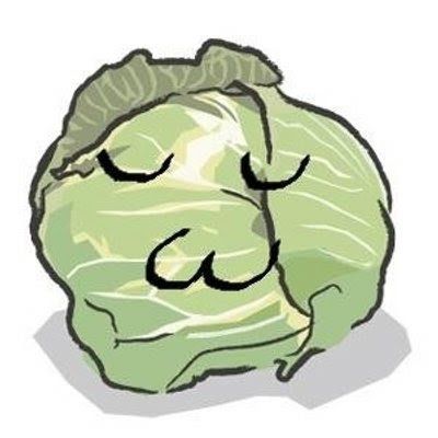 :Cabbage キャベツ (キャベツ)