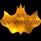 @MrUnimportant