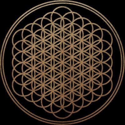 Crooked Young