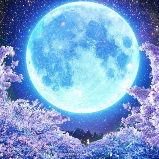 @Nightnooker