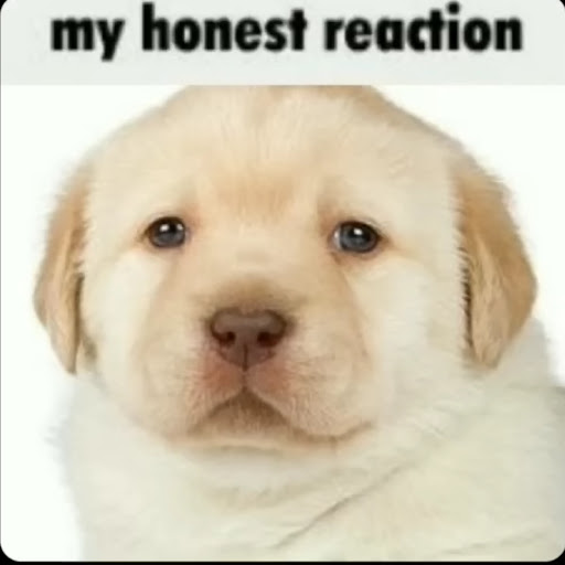 @Oscar4dz