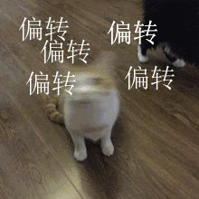 @collapseg.4274