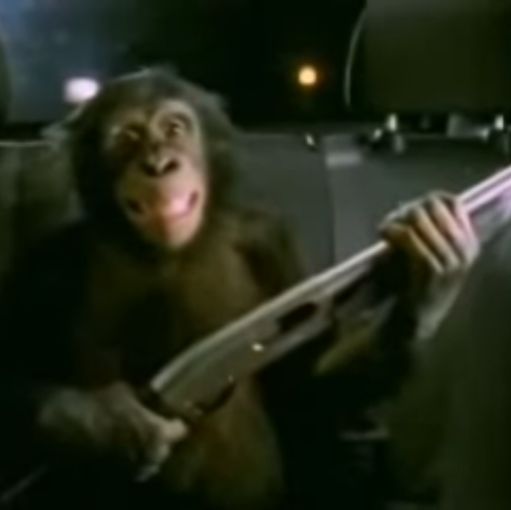 12 gauge monkey