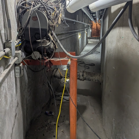 Coupe Chi My Stir デム・ボトム・リップス