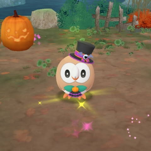 owl