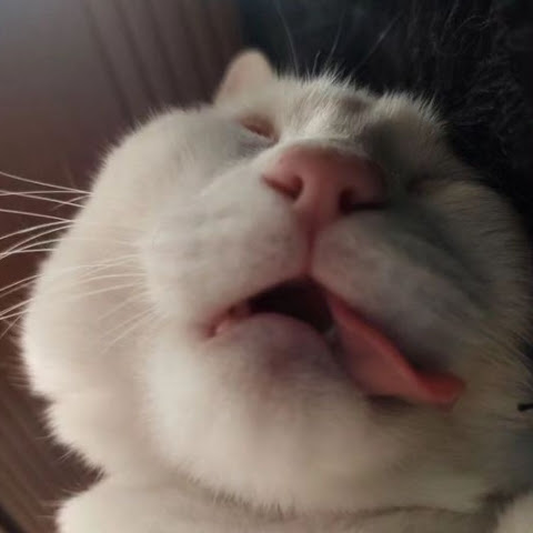 DoREme