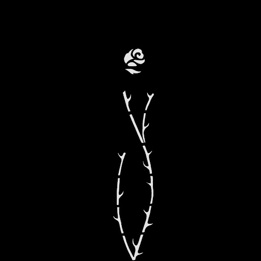 RS9
