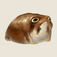 frog