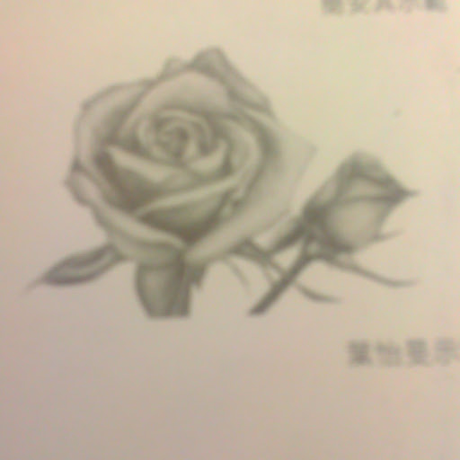 @paul-gs8or