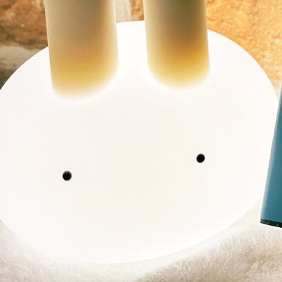 @ひゃくはなお姉さま