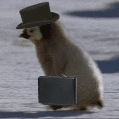 @slappy8084