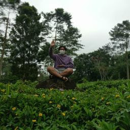 @christozwinglyalexander780