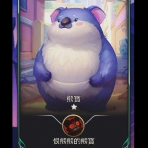 @熊班長的腎