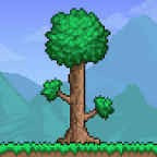 @agusgtw-vgf4z