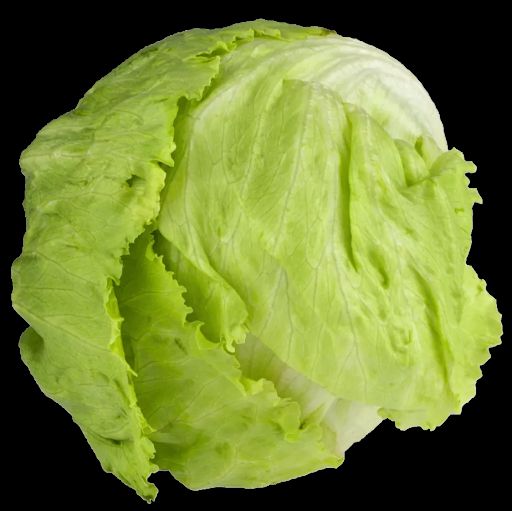 Lettuces