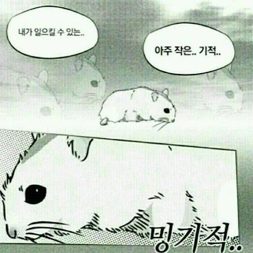 @야옹이님
