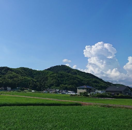 さぬきうどん