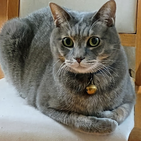 @レンタロー_ふぁみり