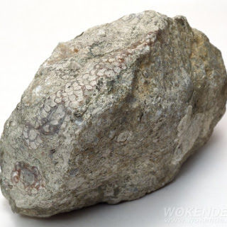 @俗頭-r1c
