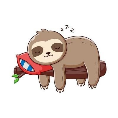 Napping Sloth