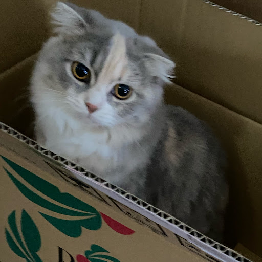 れお