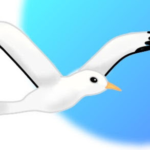 Seagull