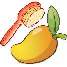 Mangoscrub