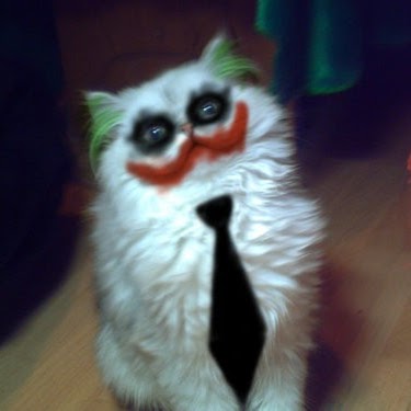 Meowjoker