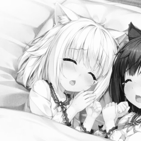 snoozer 